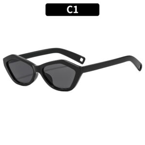C1 - Black frame with gray accents
