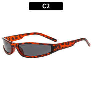 C2-leopard print frame gray piece