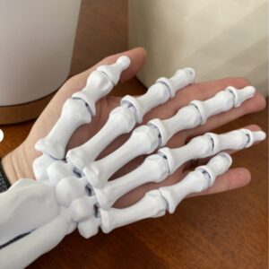 [white] skeleton hand