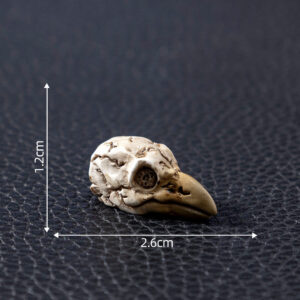 1#crow / Skull skull