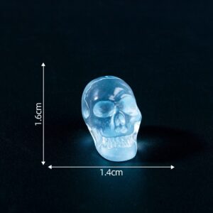 #1 Skull Blue / 12 Glow-in-the-Dark Halloween Styles