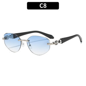 C8-Silver Frame Double Blue Lens