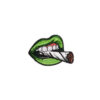 oly-92d9a78656e1a483878bcda7140a87e3 Wholesale Unicorn Lips Leaf Embroidered Fabric Patch Sew-on Decorative Clothes Accessory for Party Boutique Resale