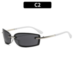 C2-silver frame gray piece