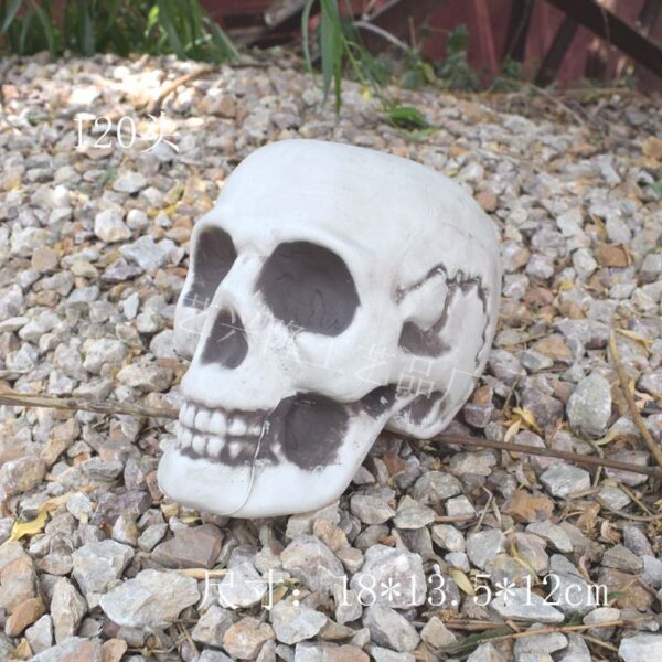 Wholesale Plastic Skull Halloween Decorative Accent for Party Home Decor