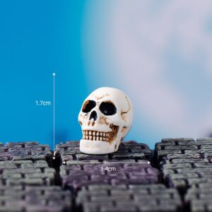 No. 12-skull / New halloween for 23 years