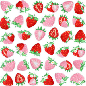 oly-9712f4d0c3ce1d5d4bdeba9b5d53d4b7 Wholesale Cream Strawberry Embroidery Patch for Clothing Decoration DIY Craft Supply