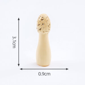 7#Chicken leg mushroom / Food and play mushroom