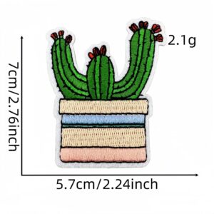 Cactus cloth patch 12#