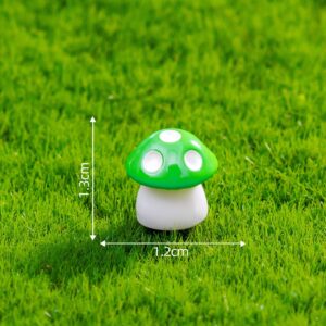 Size 8, Medium, Six Green / Mushroom Series 29