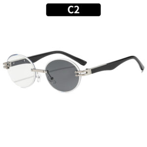 C2-Silver Frame Color-Changing Gray