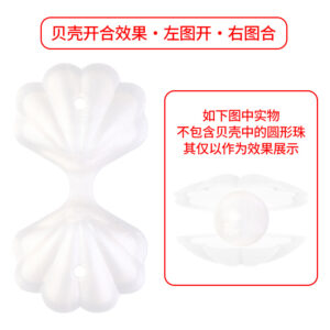 3D Seashell - Pearl White