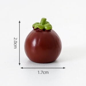 29#mangosteen / home of fruit