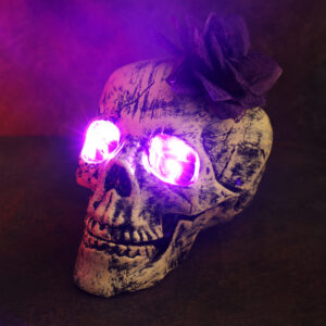 Single head flower purple
