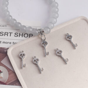 oly-a5341e18fd7900e6b8a5808e6c9a4815 Wholesale Halloween Skull Alloy Keychain Pendant Decorative Fashion Accessory Resale