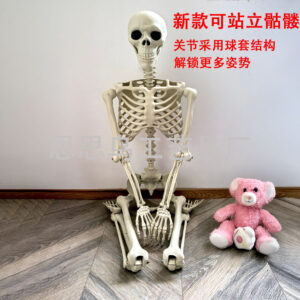 2025 new 170cm skull