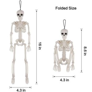 40CM human skeleton
