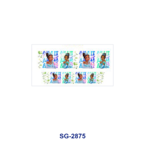 SG-2875 / 8pcs / 16*7cm