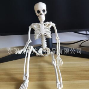 40cm skeleton