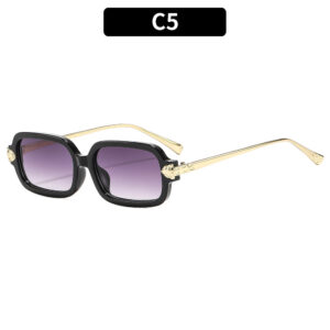 C5 - Black frame with double gray accents