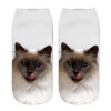 oly-aba56a7e3653721f435261674069690a Wholesale Trendy 3D Cartoon Cat Print Socks Unisex Breathable Casual Sports Socks