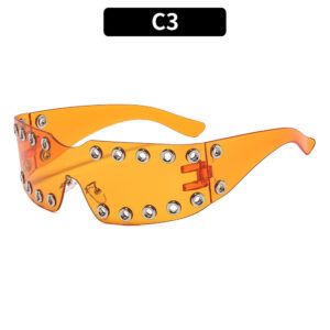 C3-orange frame orange slices