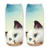 oly-afa44e3ad817bb8412699fb9099cc12d Wholesale Trendy 3D Cartoon Cat Print Socks Unisex Breathable Casual Sports Socks