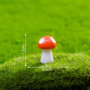 24th small size 3 o'clock orange / Mushroom Series 29