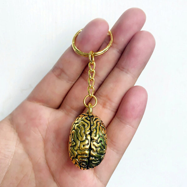 Wholesale Alloy 3D Brain Keychain Vintage Anatomical Keyring Decorative Accessory