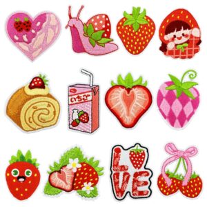Wholesale Embroidered Strawberry Snail Cartoon Patch for Clothing Decoration Resale
