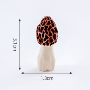 8#Morels / Food and play mushroom