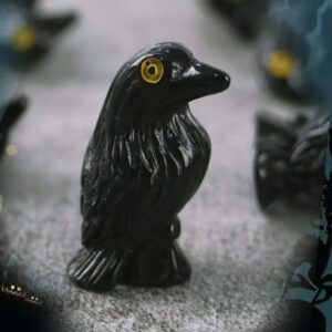 Little black crow