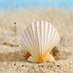 Seashell / Seaside series