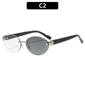 C2-Silver Frame Color-Changing Gray