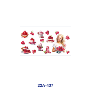 22A-437 / 5pcs