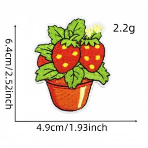 Strawberry cloth patch 3#