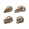 Wholesale Resin Crow Skull Ornament Decorative Accent for DIY Craft Home Decor