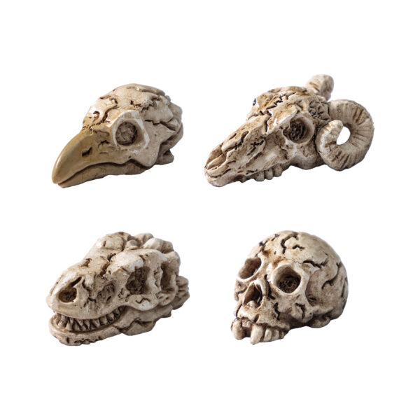 Wholesale Resin Crow Skull Ornament Decorative Accent for DIY Craft Home Decor