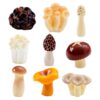 oly-bc4299caf43ce1bf837d688c5ae9bf62 Wholesale Cartoon Resin Mushroom Miniature Decorative Accent for Desk Car DIY Accessory