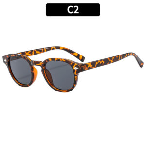 C2-hawksbill frame gray