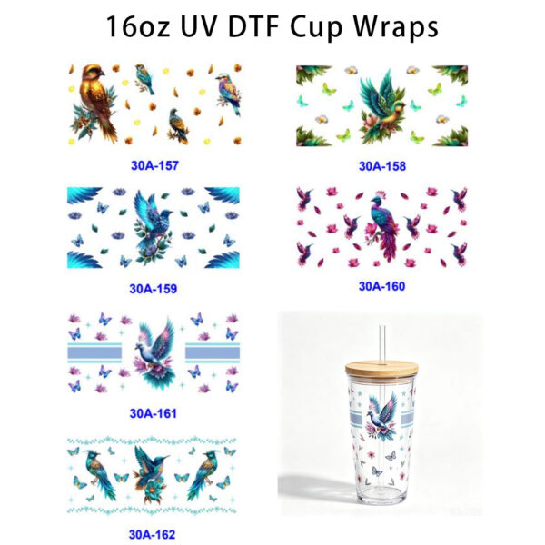oly-bdff6302eef98520ab4f67e7a4c0c4db Wholesale 5pcs Vibrant Tropical Bird Butterfly 16oz Cup UV DTF Wraps