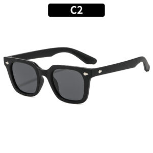 C2-Sand Black Frame Gray Sheet