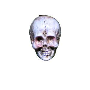 Skull + OPP Bag for Bulk