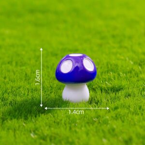 Size 4 Large Five-Point Purple / Mushroom Series 29