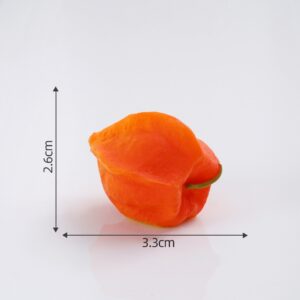5# Physalis / Fruit House Large Size 60