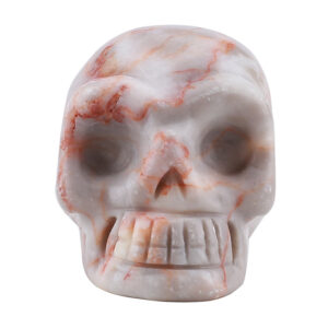 White network 1 inch skull