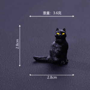 Black cat