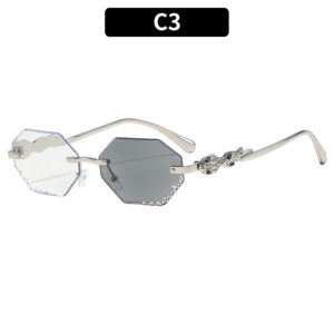 C3-Silver Frame Color-Changing Gray