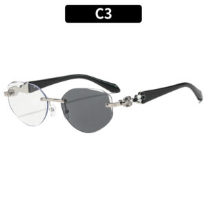 C3-Silver Frame Color-Changing Gray