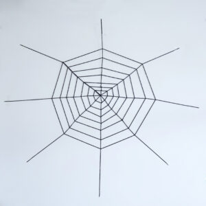 Black round spider web / 7 circle round net 3.2m
